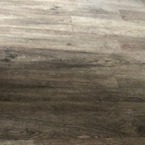 Meet your Posher, Bella